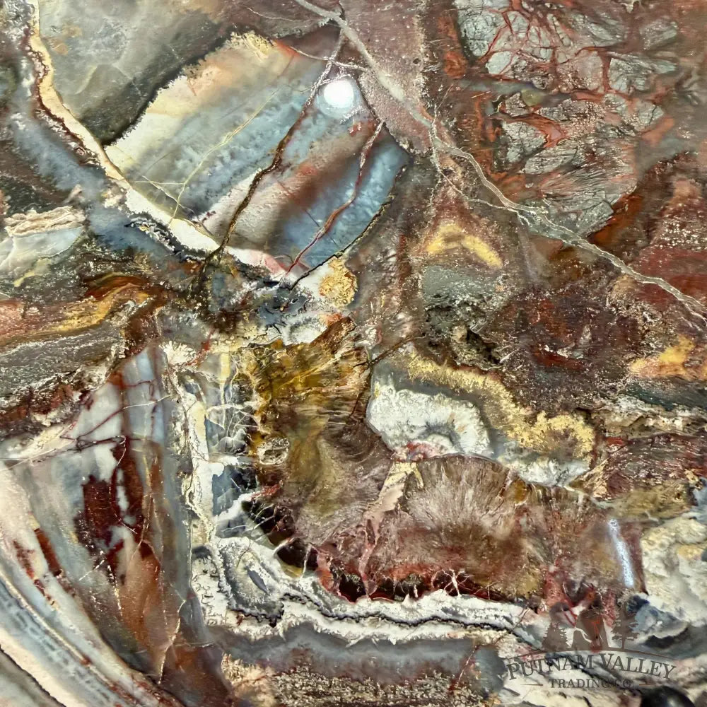 Reserve Mexican Lace Agate & Sarape Jasper Slab 10.25’’ + Stand - Slab