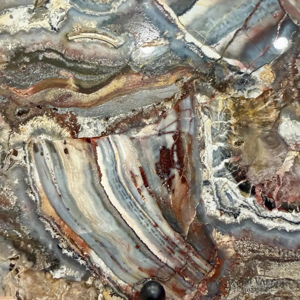Reserve Mexican Lace Agate & Sarape Jasper Slab 10.25’’ + Stand - Slab