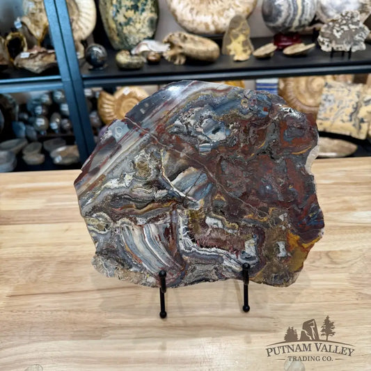 Reserve Mexican Lace Agate & Sarape Jasper Slab 10.25’’ + Stand - Slab