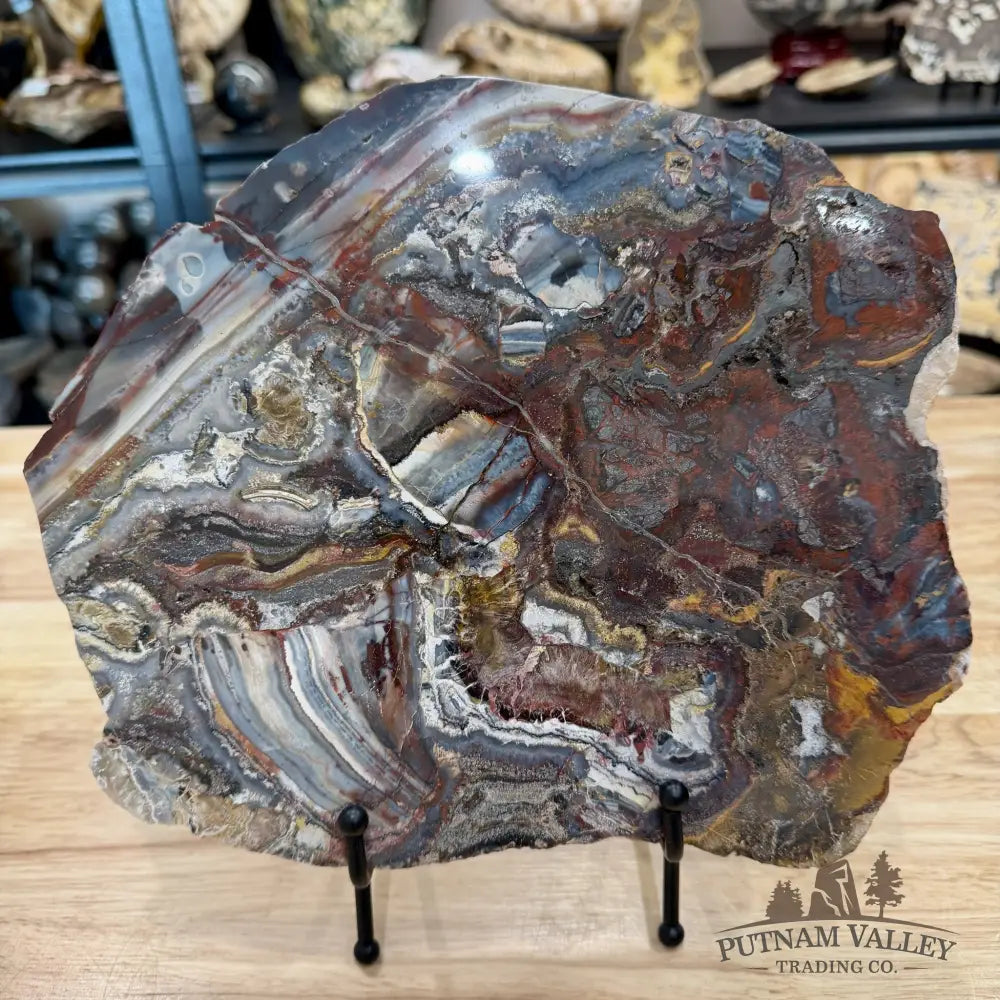 Reserve Mexican Lace Agate & Sarape Jasper Slab 10.25’’ + Stand - Slab