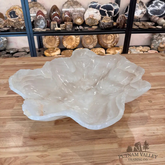 Large crystal bowl on a wooden surface with shelves of decorative stones in the background