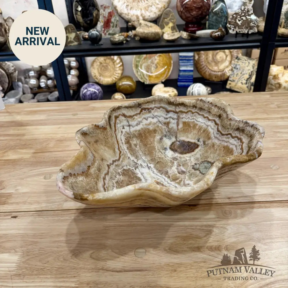 Reserve Mexican Pistachio Onyx Bowl 15.5’’ - Bowl