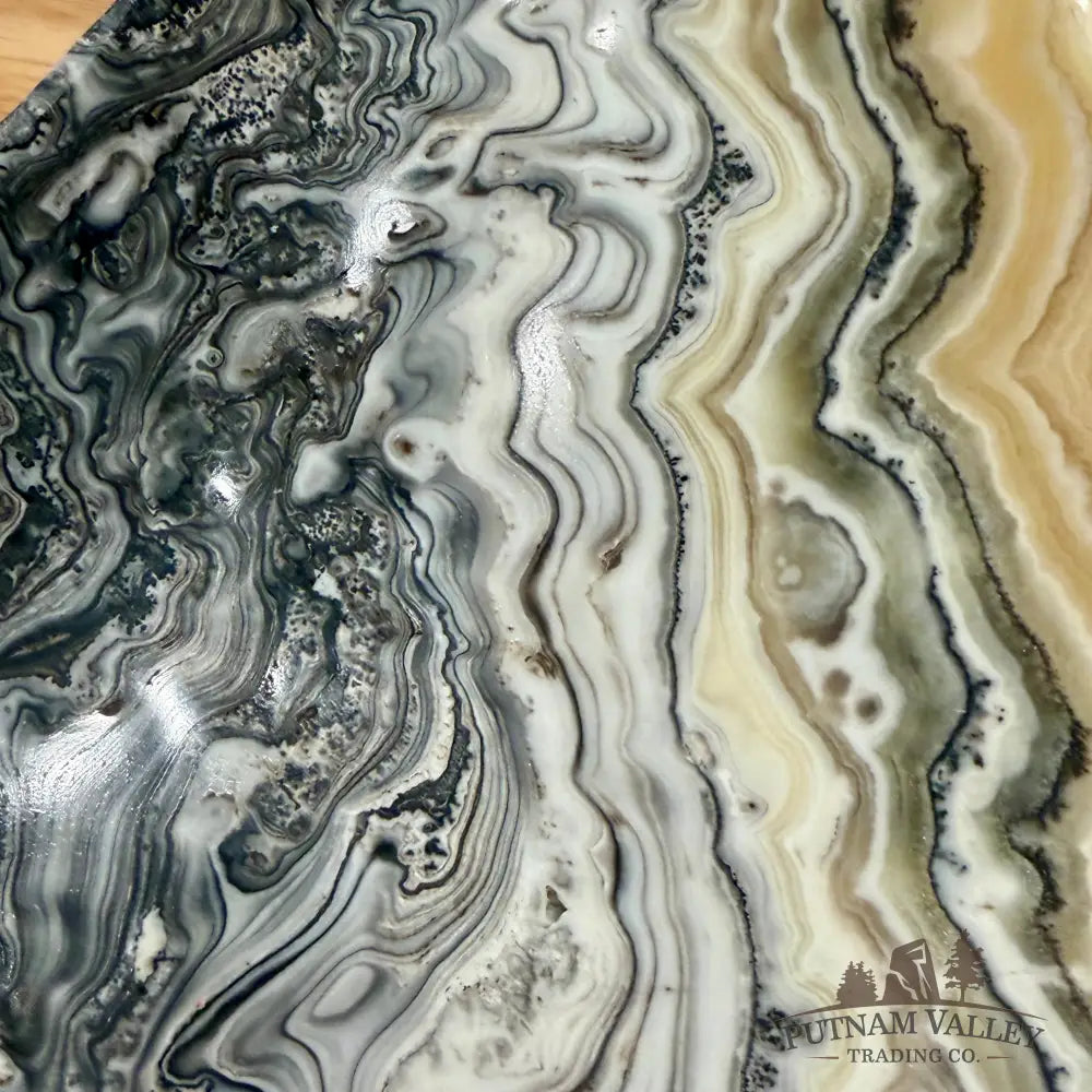 Mexican Zebra Onyx Bowl Bowl