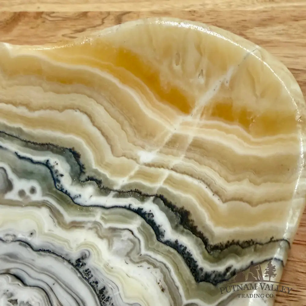 Mexican Zebra Onyx Bowl Bowl