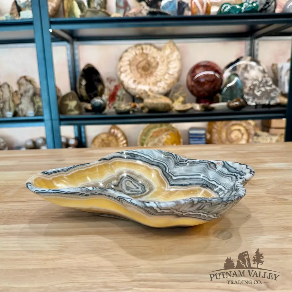 Reserve Mexican Zebra Onyx Bowl 10.5’’ - Bowl