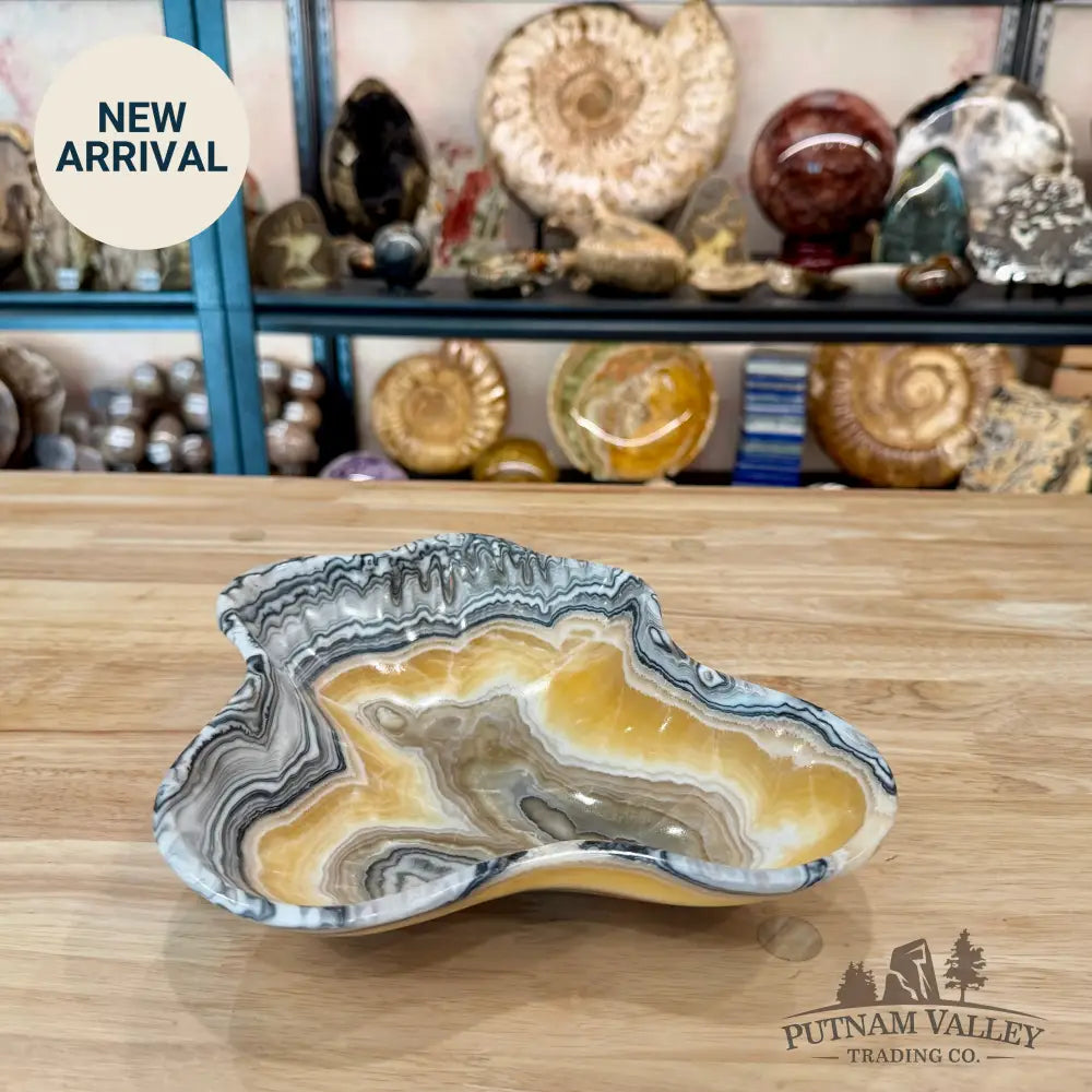 Reserve Mexican Zebra Onyx Bowl 10.5’’ - Bowl