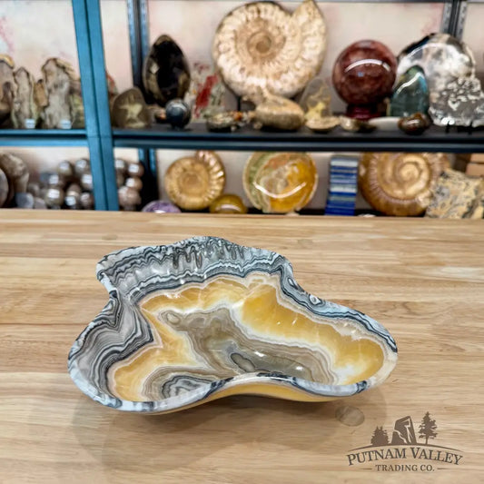 Reserve Mexican Zebra Onyx Bowl 10.5’’ - Bowl