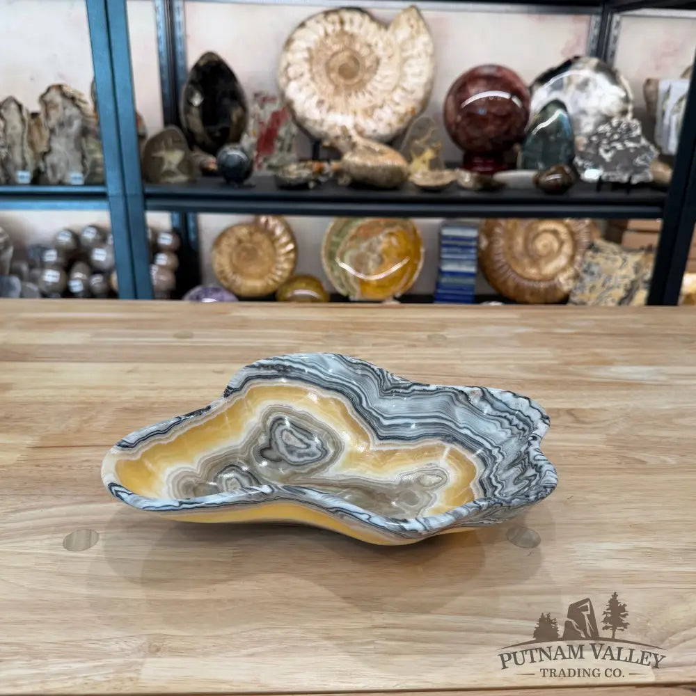 Reserve Mexican Zebra Onyx Bowl 10.5’’ - Bowl