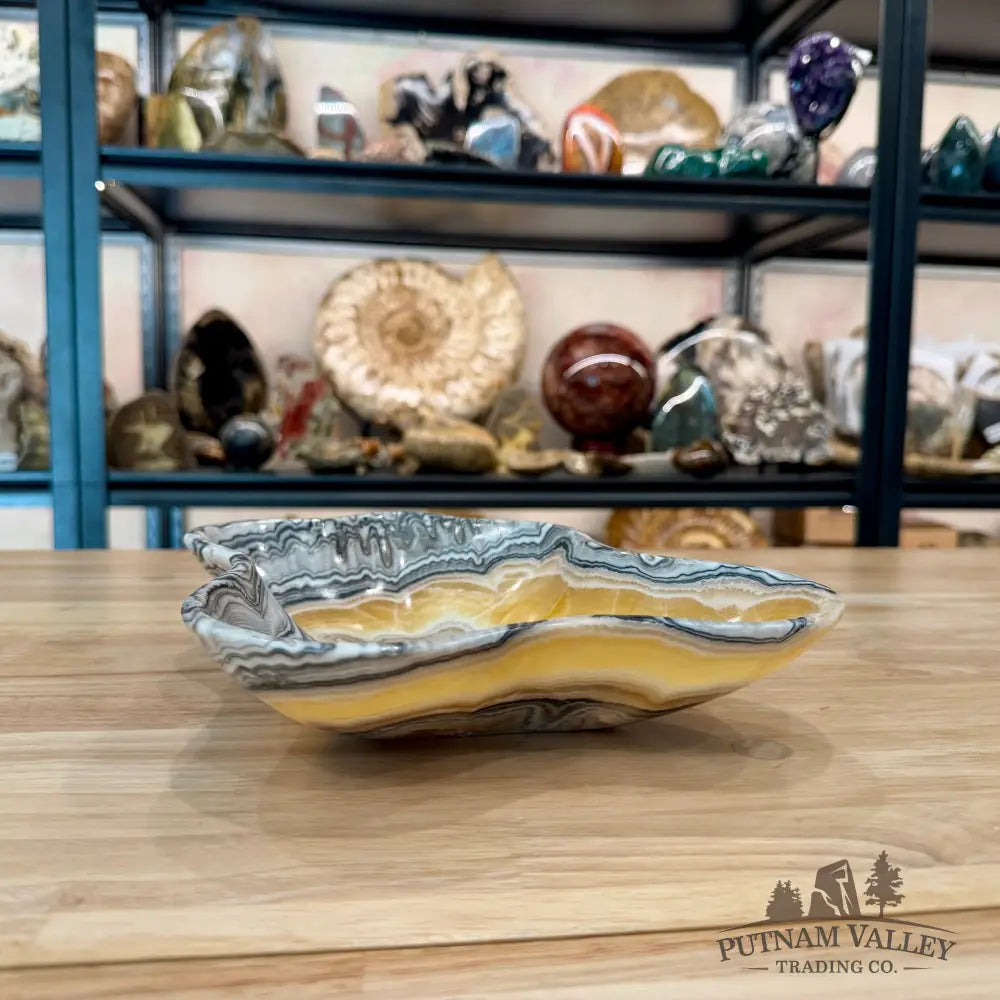 Reserve Mexican Zebra Onyx Bowl 10.5’’ - Bowl