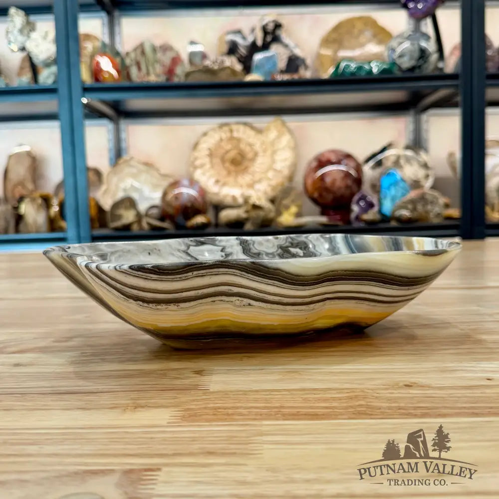 Reserve Mexican Zebra Onyx Bowl 11’’ - Bowl