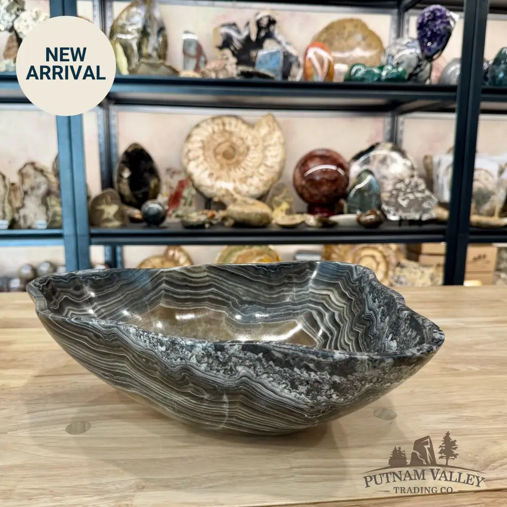 Reserve Mexican Zebra Onyx Bowl 12.88’’ - Bowl