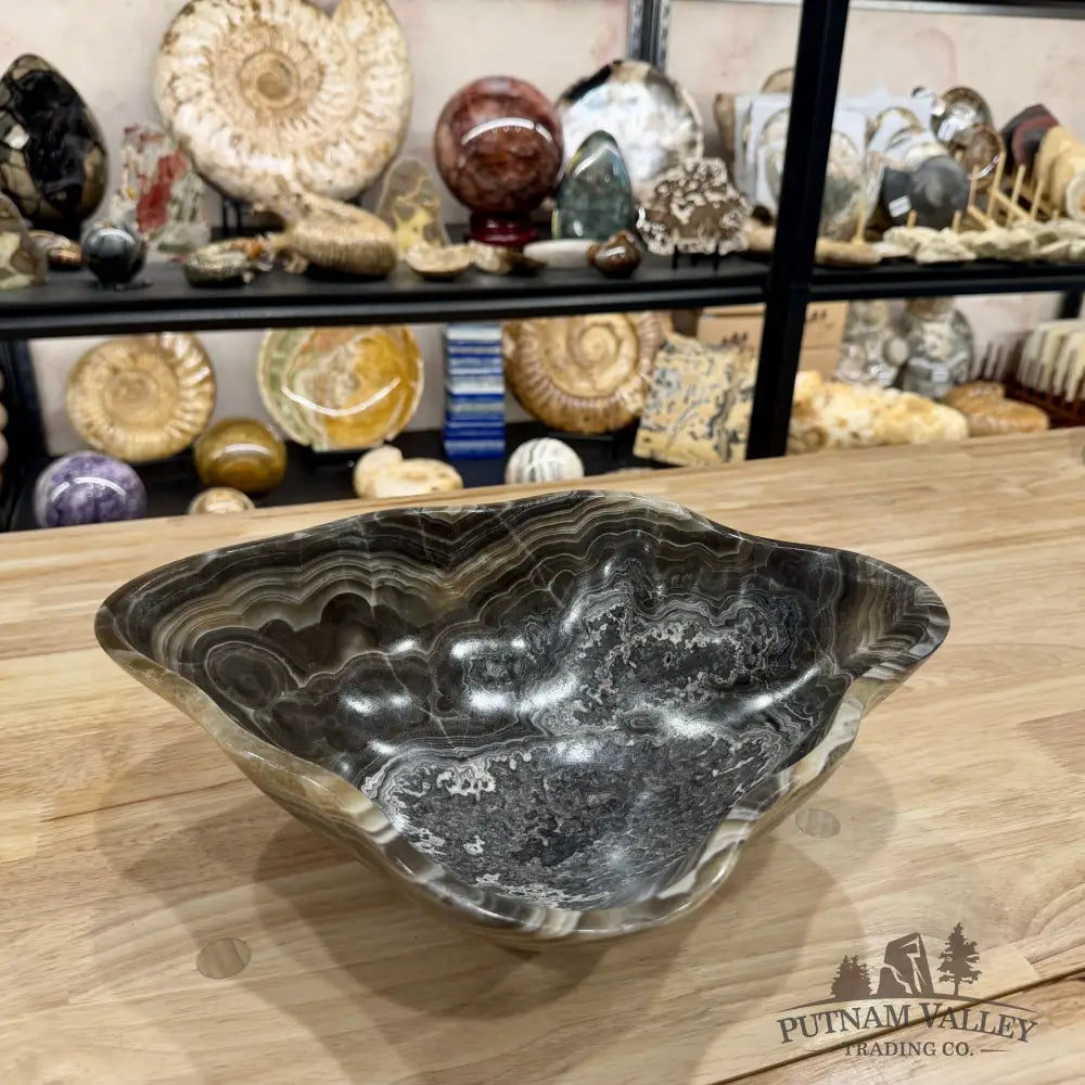 Reserve Mexican Zebra Onyx Bowl 13.5’’ - Bowl