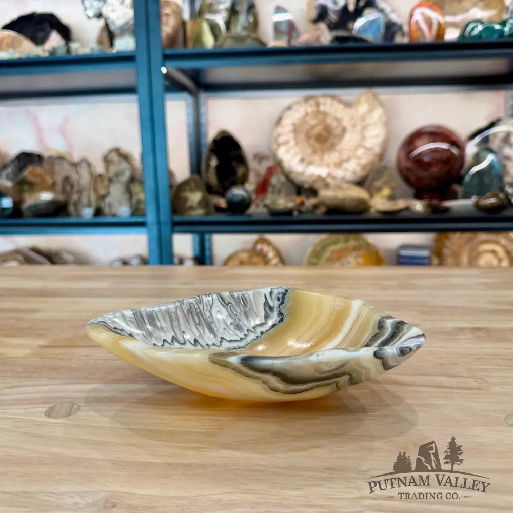 Reserve Mexican Zebra Onyx Bowl 7.54’’ - Bowl