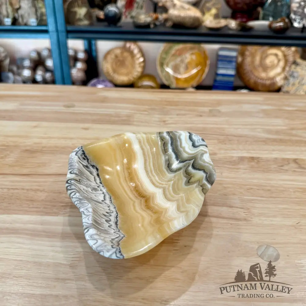 Reserve Mexican Zebra Onyx Bowl 7.54’’ - Bowl