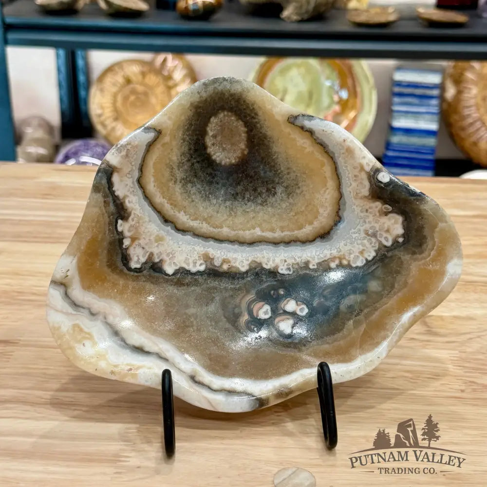 Reserve Mexican Zebra Onyx Bowl 8.25’’ - Bowl