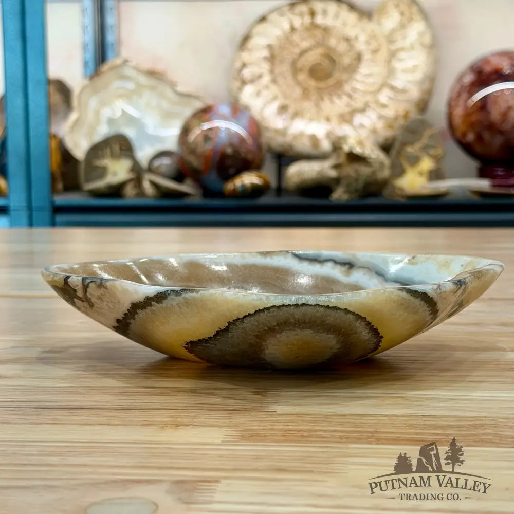 Reserve Mexican Zebra Onyx Bowl 8.25’’ - Bowl