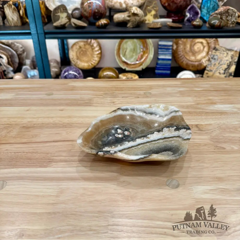 Reserve Mexican Zebra Onyx Bowl 8.25’’ - Bowl