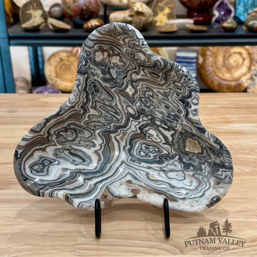Reserve Mexican Zebra Onyx Bowl 9.4’’ - Bowl