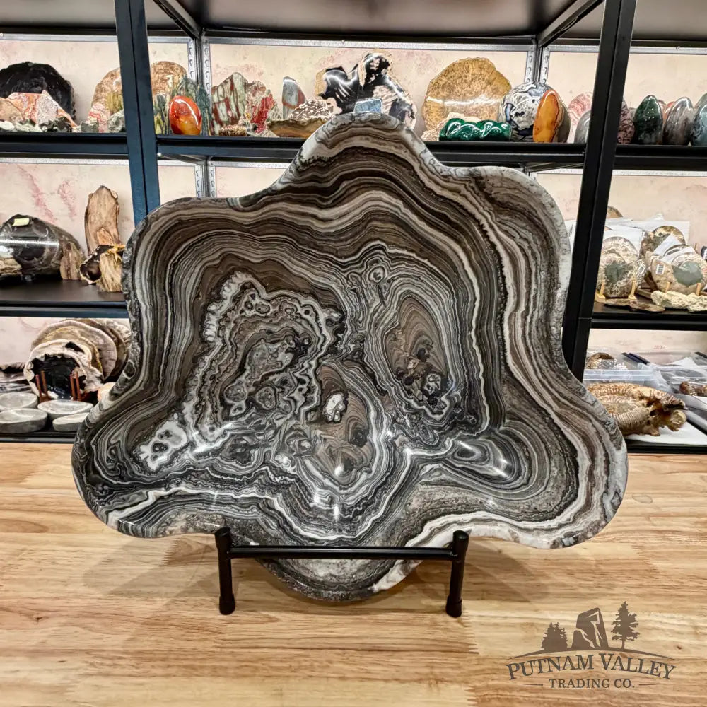 Reserve Mexican Zebra Onyx Rustic Bowl 16.3’’ - Bowl