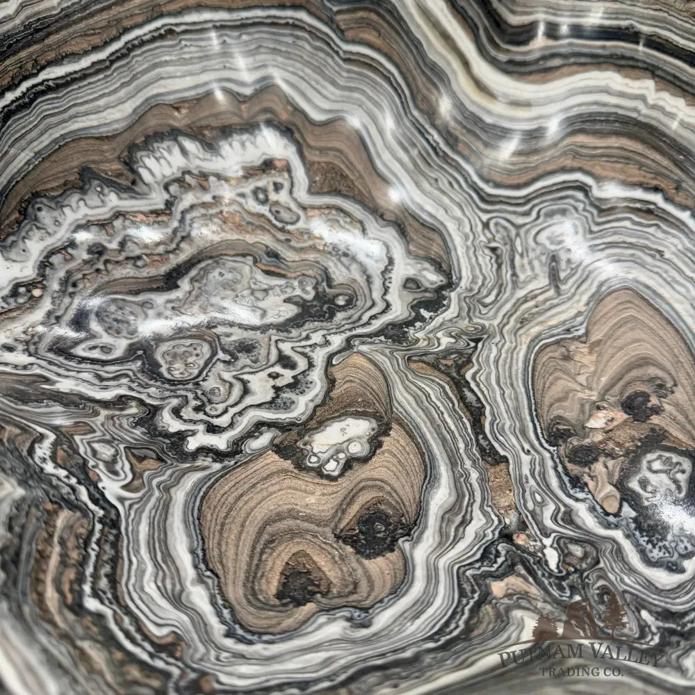 Reserve Mexican Zebra Onyx Rustic Bowl 16.3’’ - Bowl