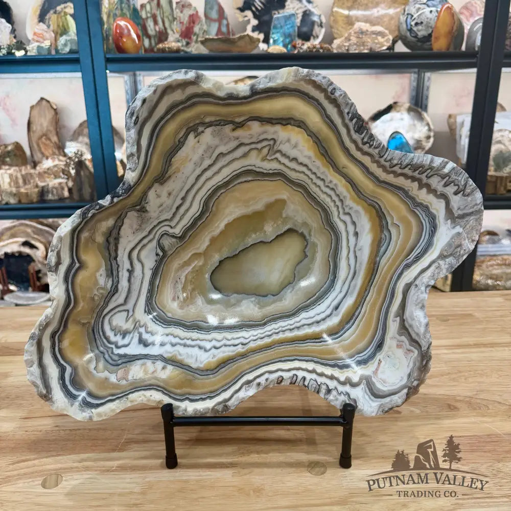 Reserve Mexican Zebra Onyx Rustic Bowl 18.4’’ - Bowl