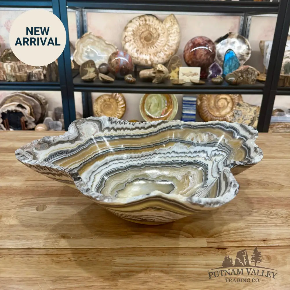 Reserve Mexican Zebra Onyx Rustic Bowl 18.4’’ - Bowl
