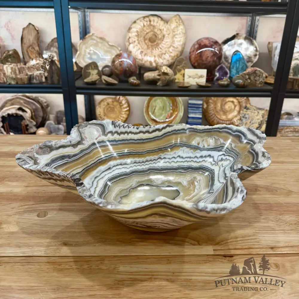 Reserve Mexican Zebra Onyx Rustic Bowl 18.4’’ - Bowl