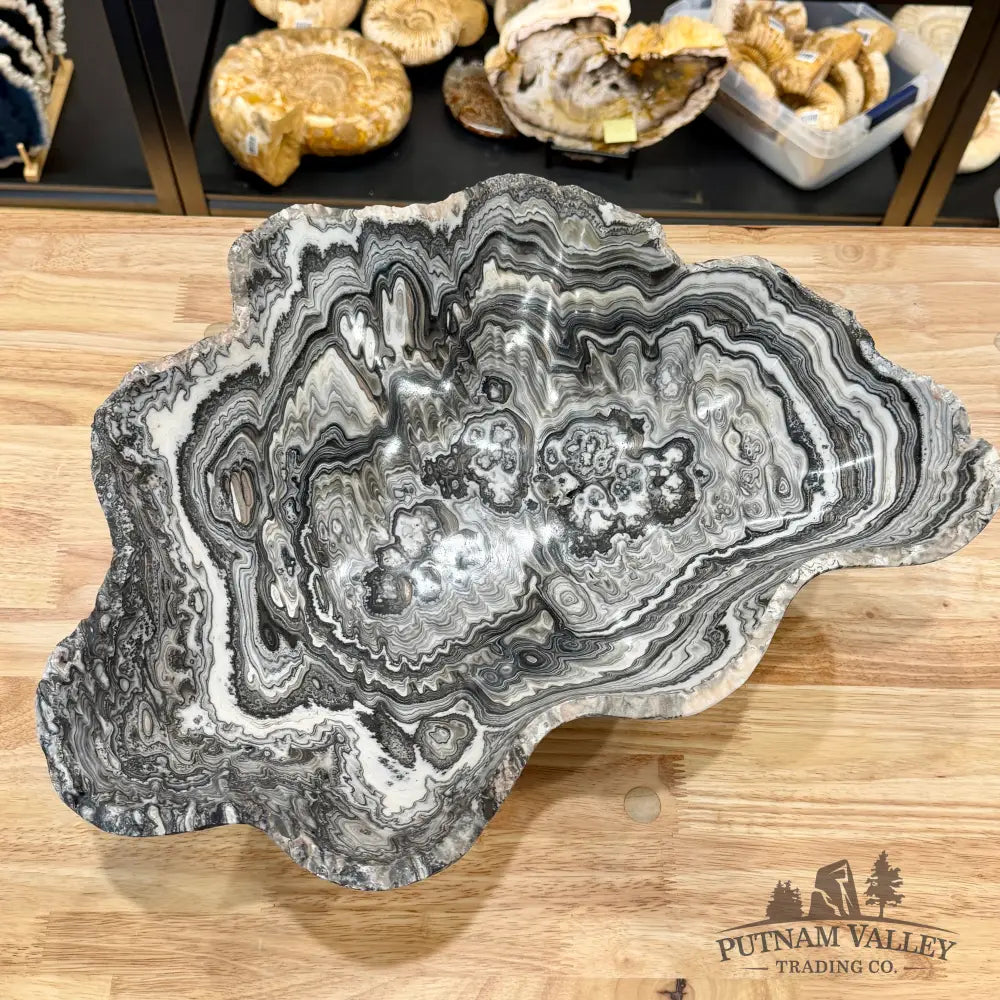 Reserve Mexican Zebra Onyx Rustic Bowl 18.5’’ - Bowl