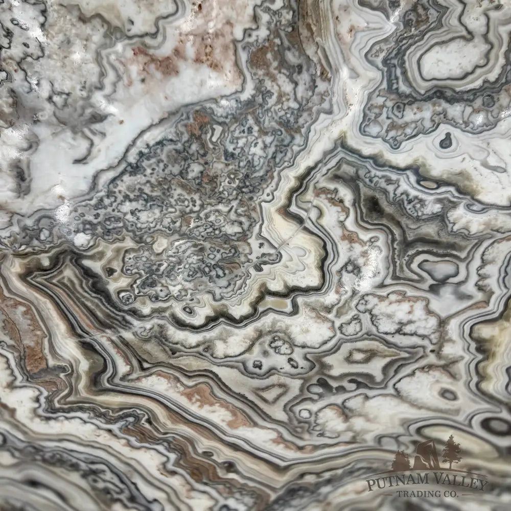 Reserve Mexican Zebra Onyx Rustic Bowl 18.5’’ - Bowl