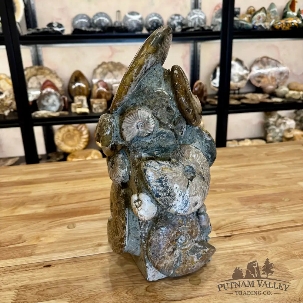 Large Moroccan Ammonite Cluster Sculpture 15’’ Fossil Sculpture