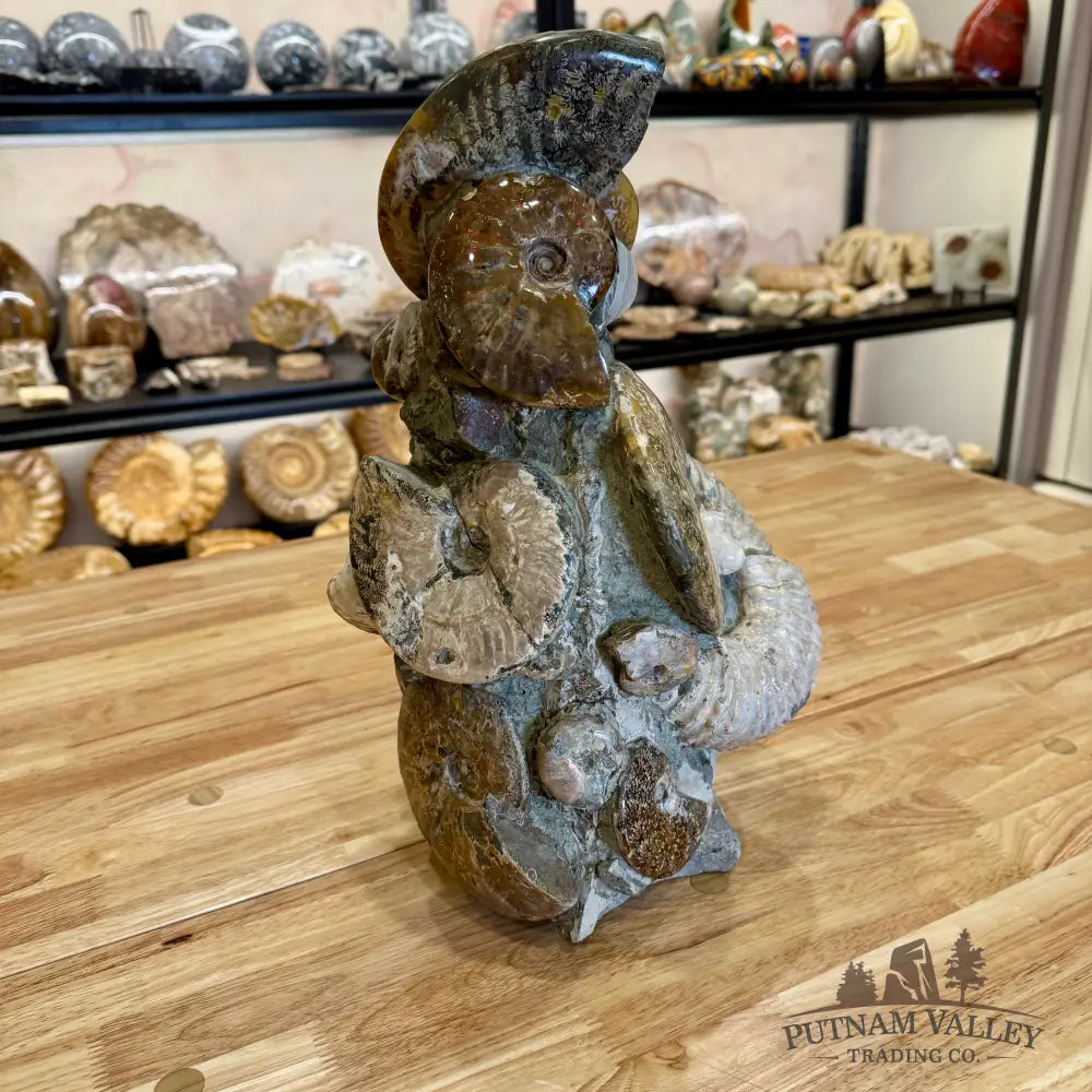 Large Moroccan Ammonite Cluster Sculpture 15’’ Fossil Sculpture