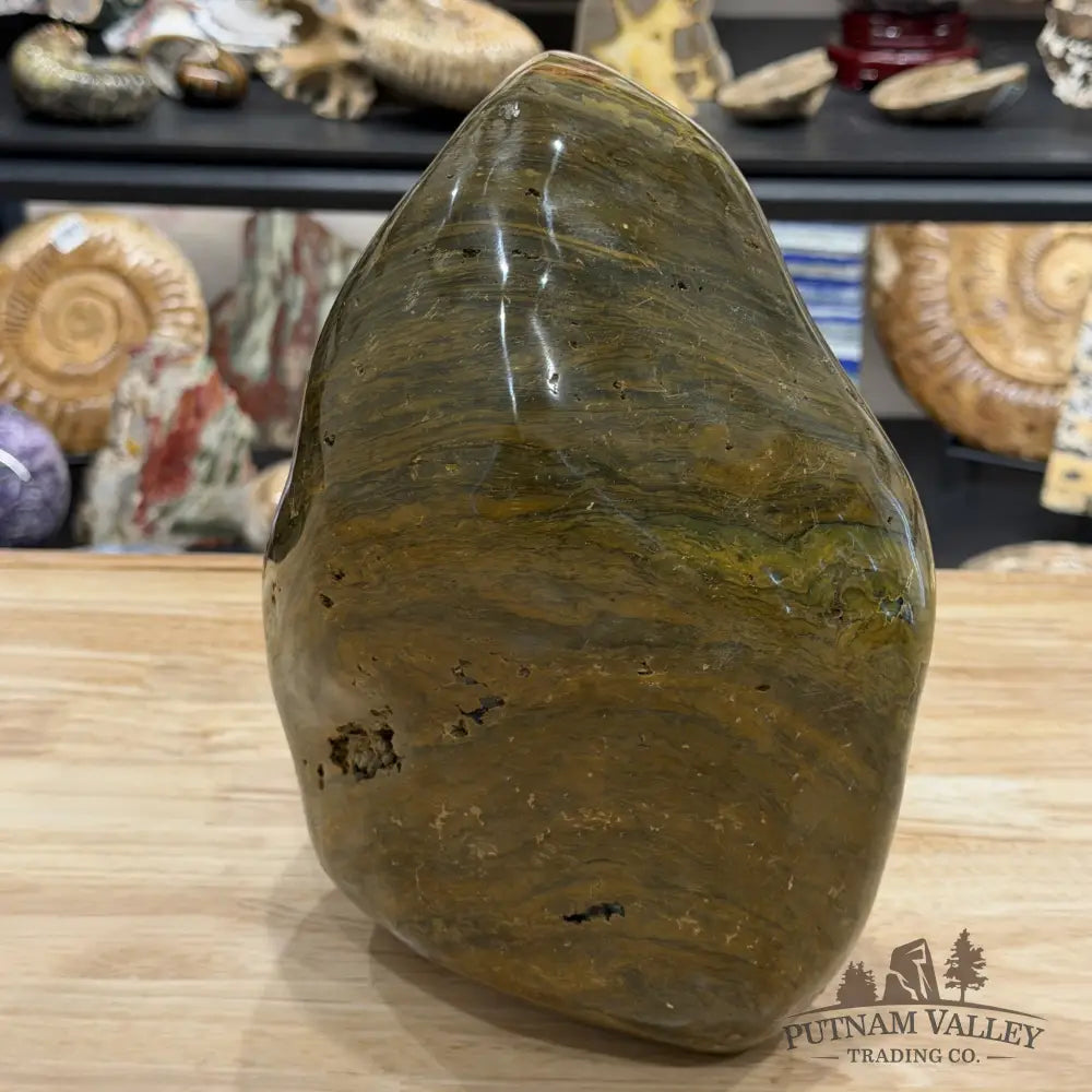Reserve Ocean Jasper Freeform Statement Accent 10’’ | 20.42lb - Free Standing Accent