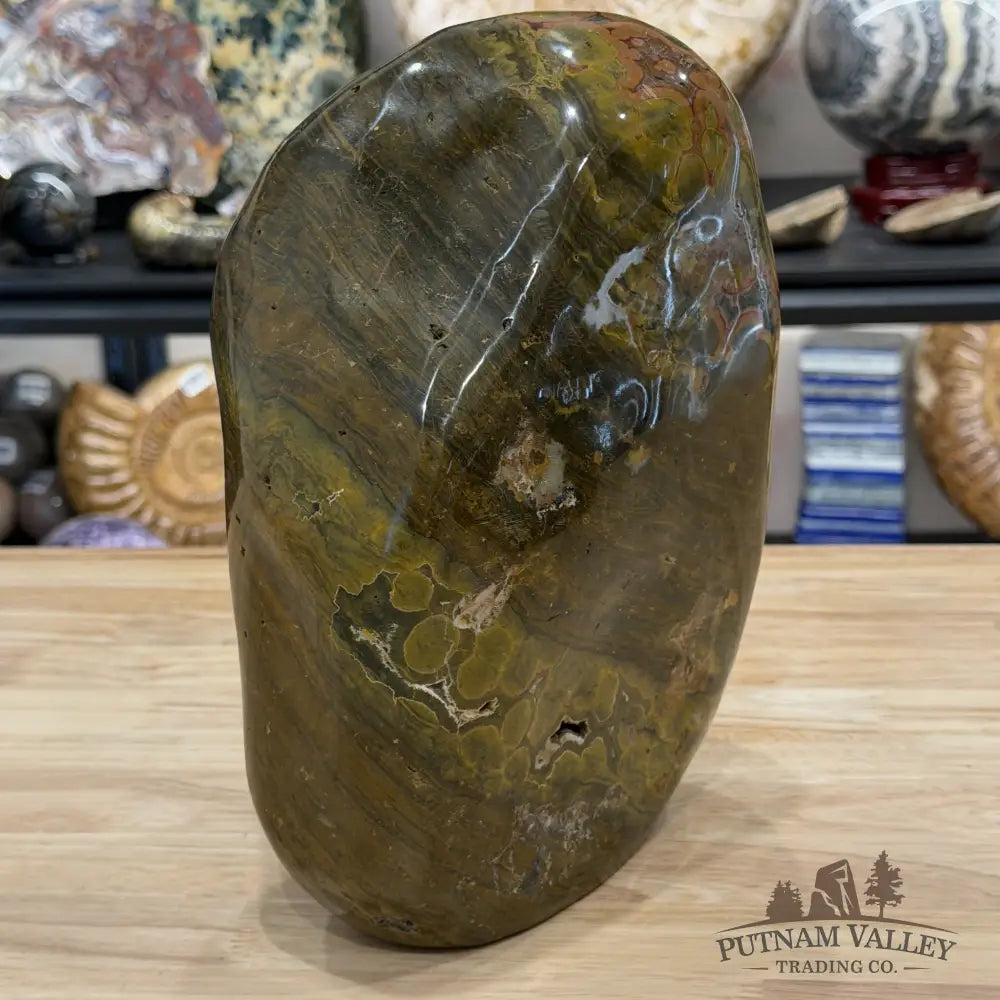 Reserve Ocean Jasper Freeform Statement Accent 10’’ | 20.42lb - Free Standing Accent