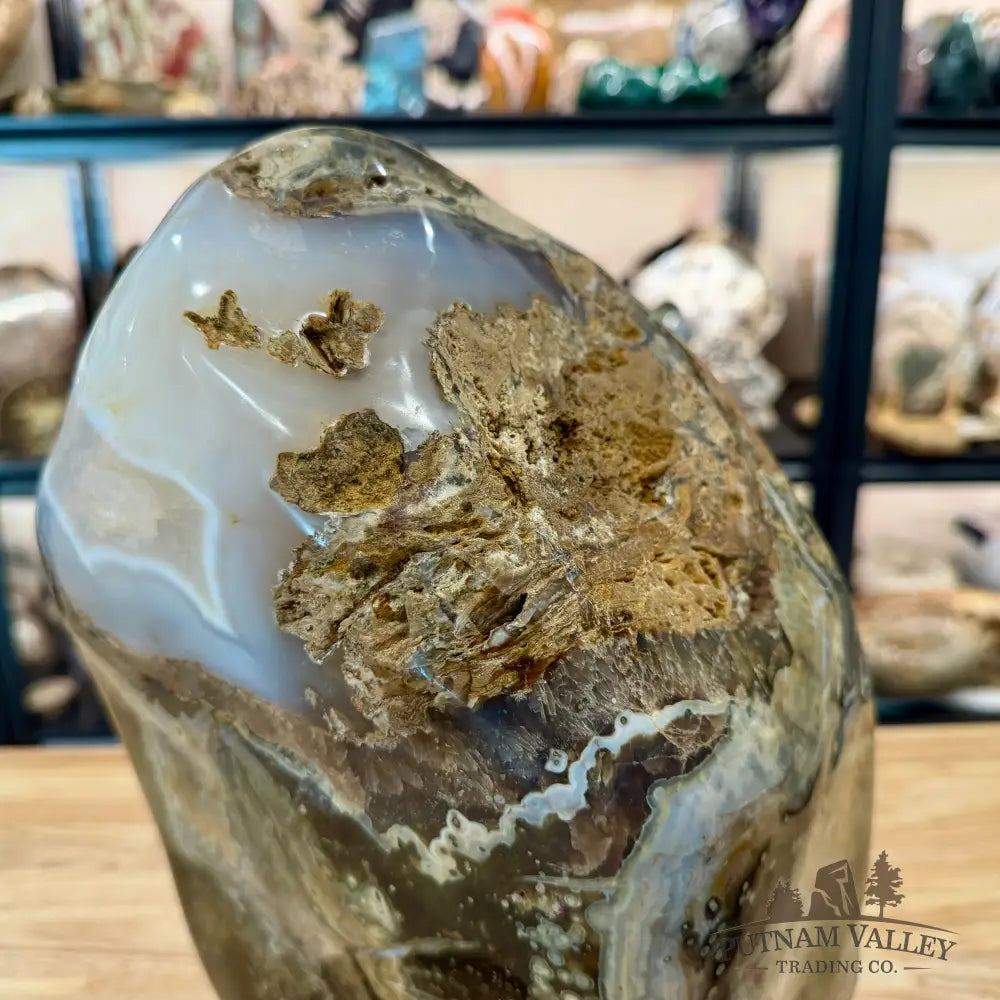 Reserve Ocean Jasper Table Accent 14.5’’ - Free Standing Accent