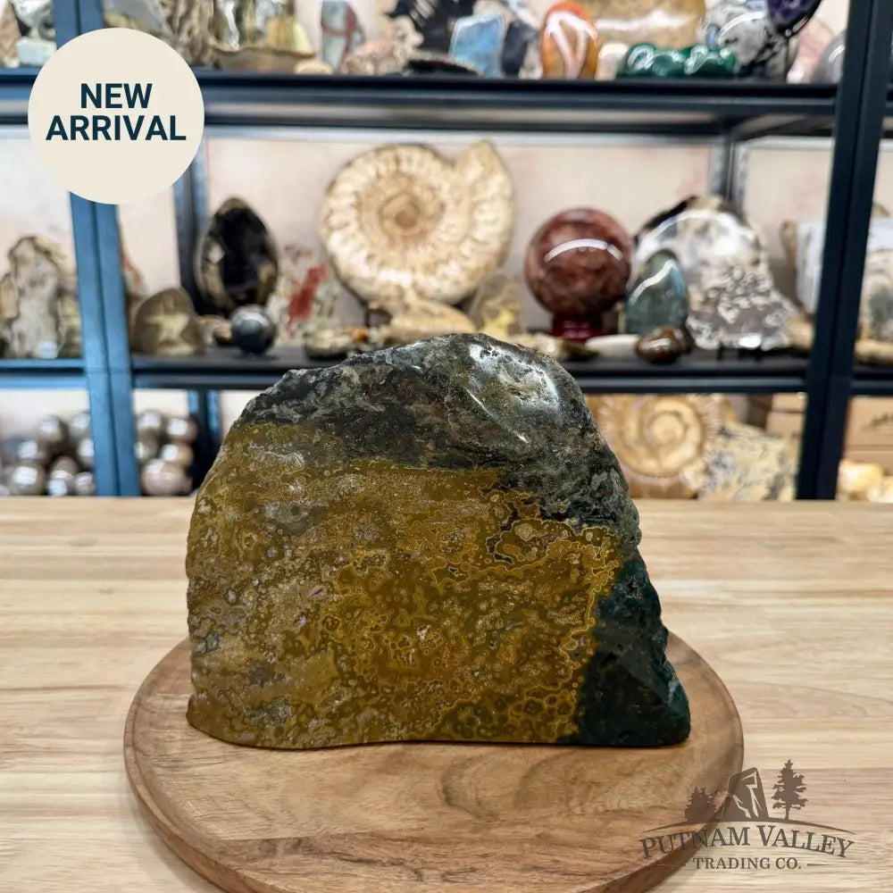 Reserve Ocean Jasper Table Accent 9’’ - Sculpture