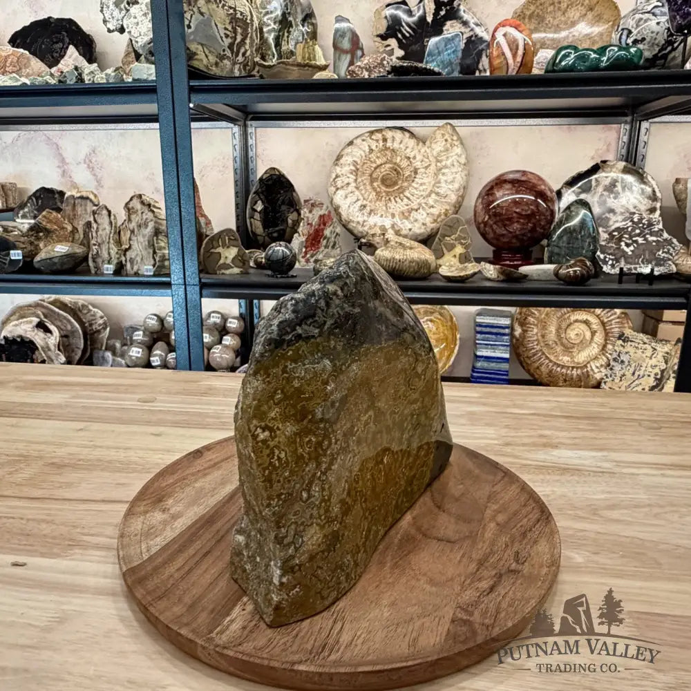 Reserve Ocean Jasper Table Accent 9’’ - Sculpture