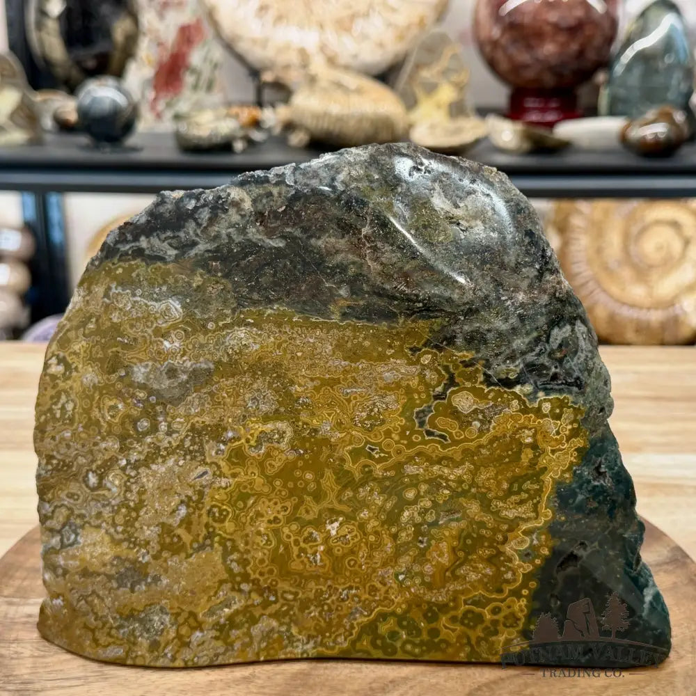 Reserve Ocean Jasper Table Accent 9’’ - Sculpture
