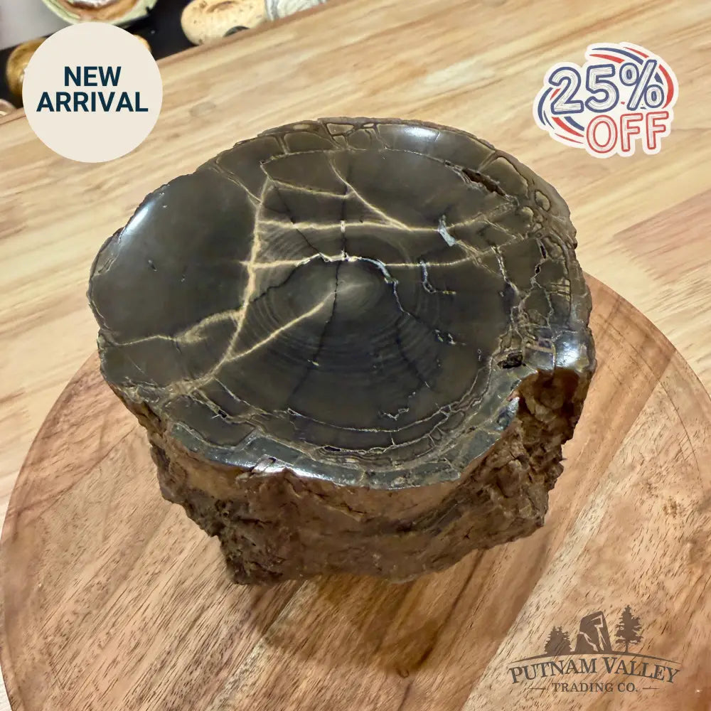 Reserve Oregon Petrified Wood Table Accent 4.56’’ - Sculpture