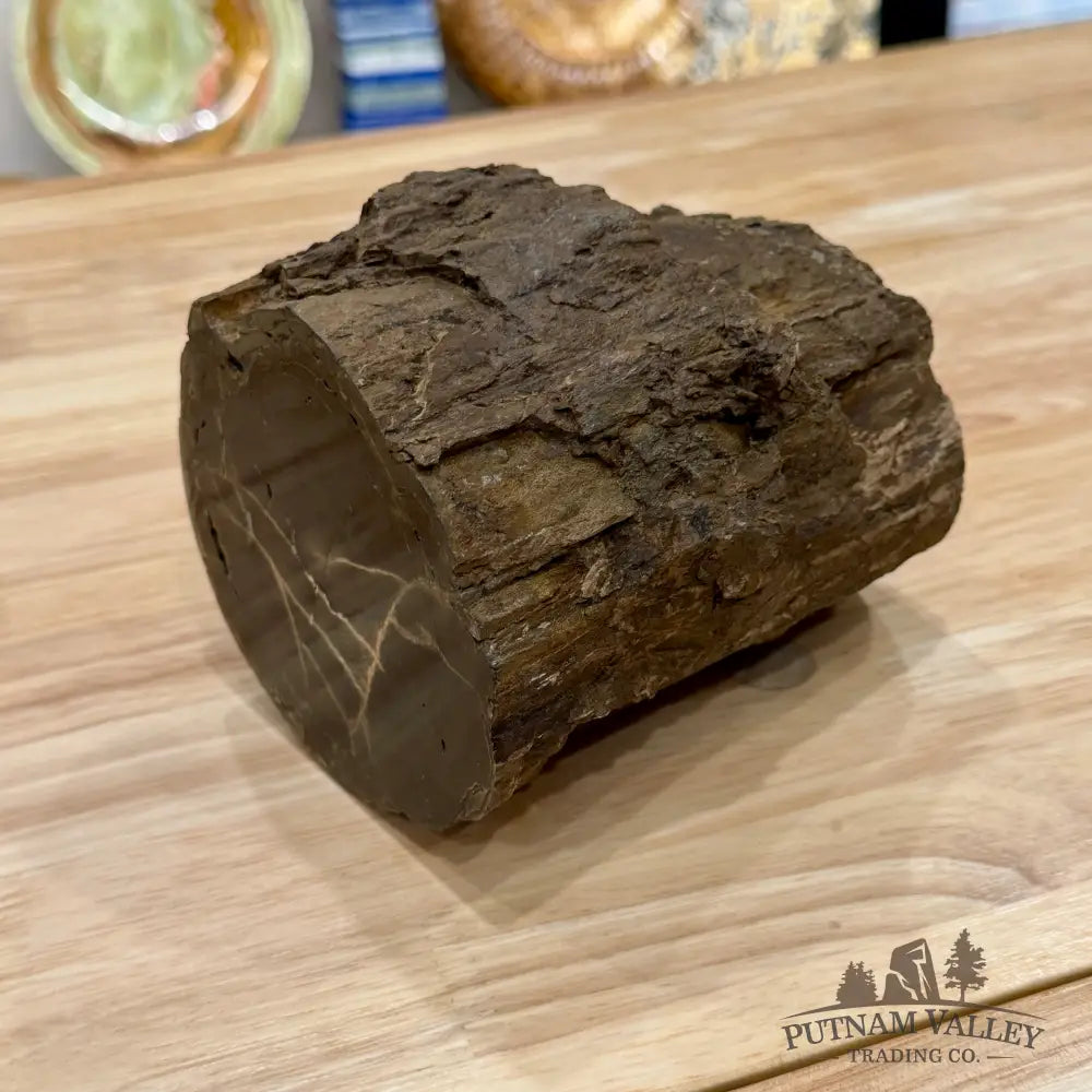 Reserve Oregon Petrified Wood Table Accent 4.56’’ - Sculpture