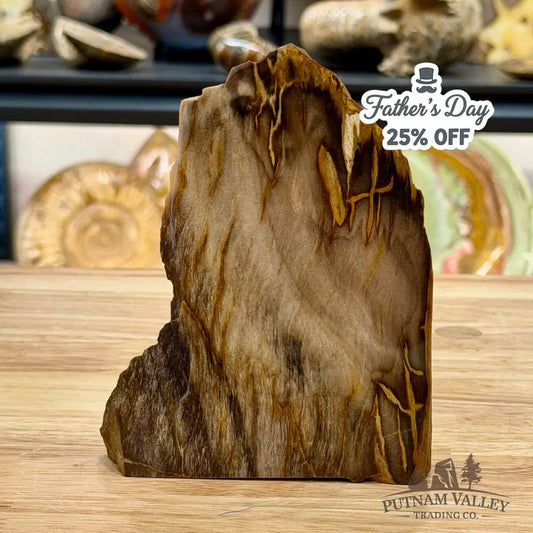Reserve Oregon Petrified Wood Table Accent 5.3’’ - Sculpture