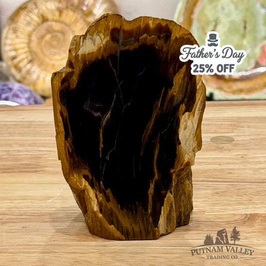 Reserve Oregon Petrified Wood Table Accent 5.6’’ - Sculpture