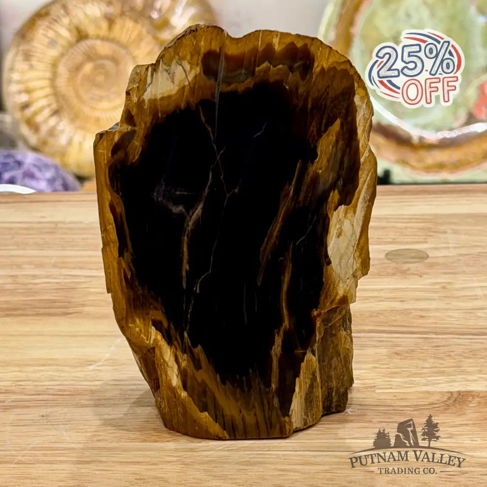 Reserve Oregon Petrified Wood Table Accent 5.6’’ - Sculpture