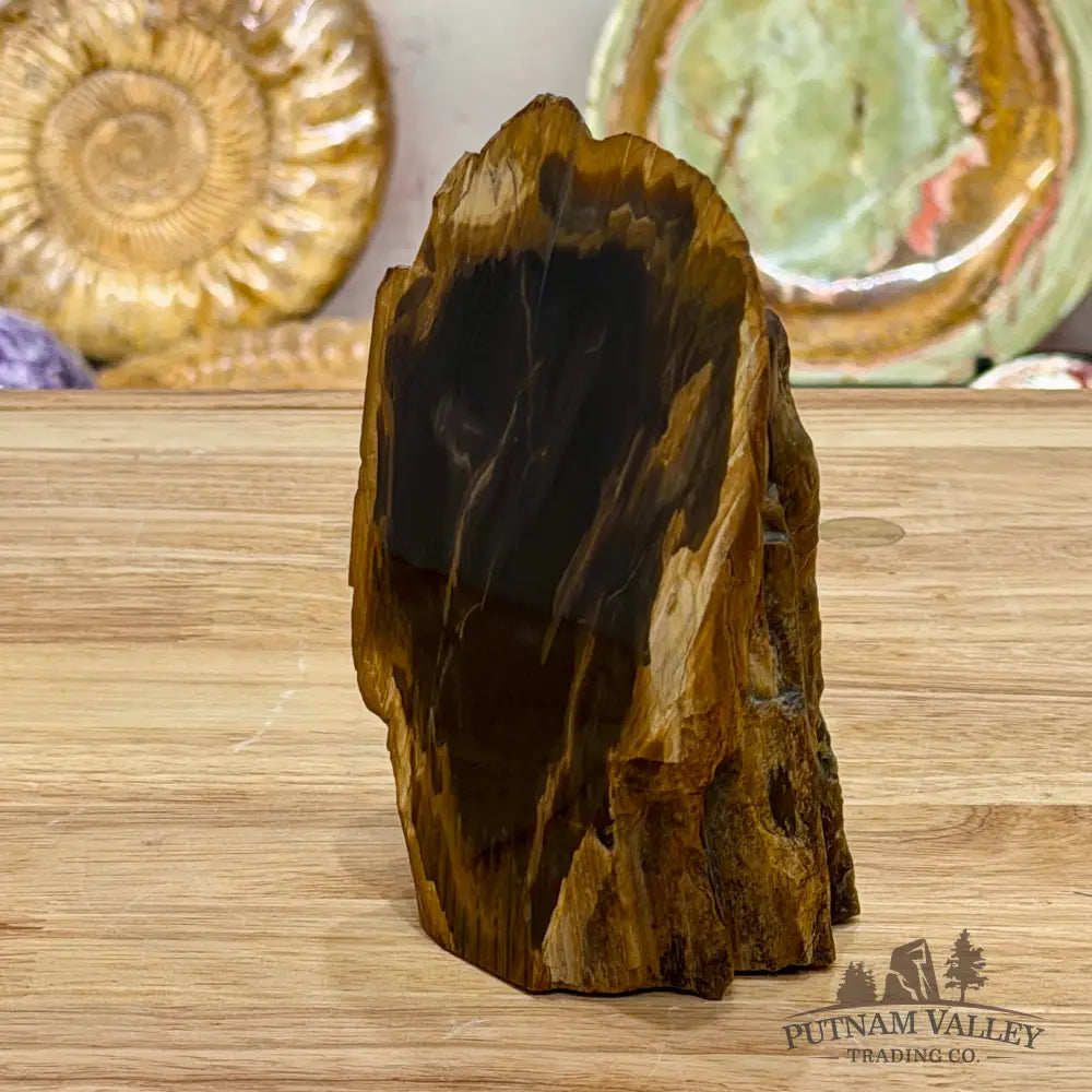Reserve Oregon Petrified Wood Table Accent 5.6’’ - Sculpture