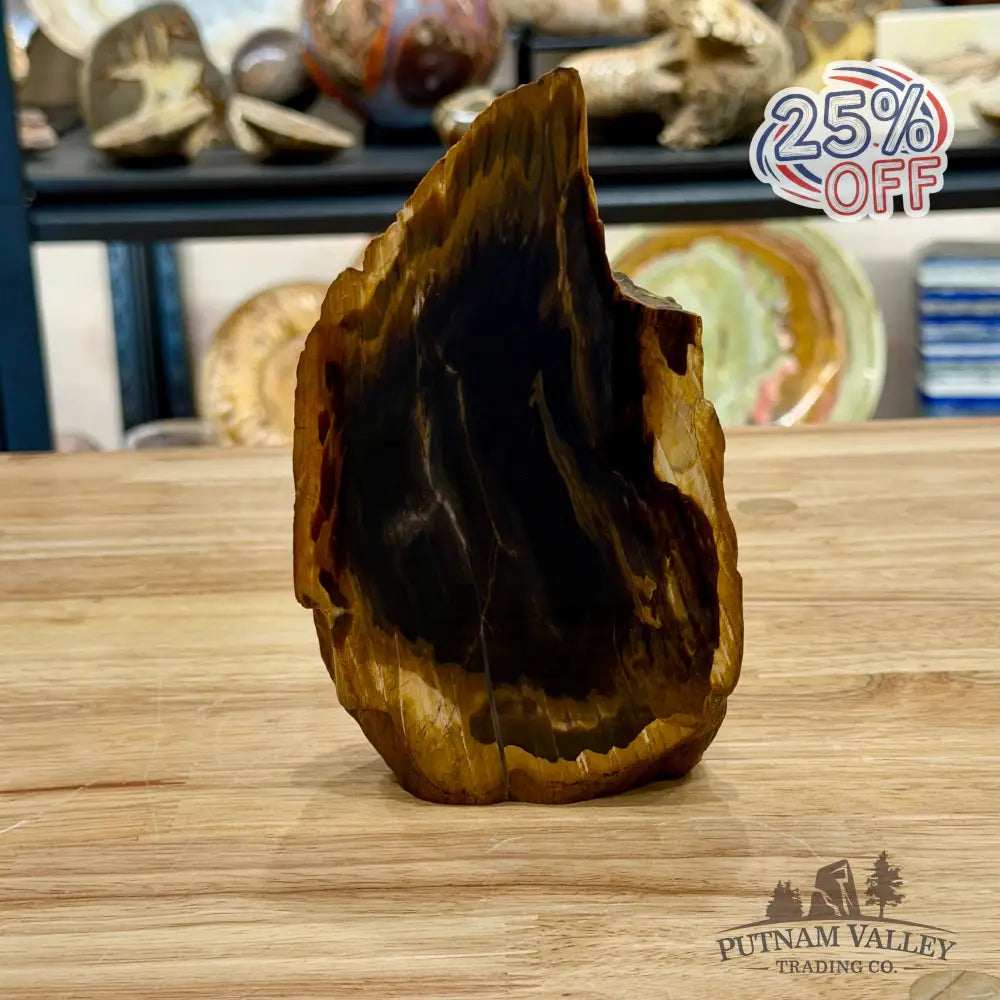 Reserve Oregon Petrified Wood Table Accent 6.25’’ - Sculpture