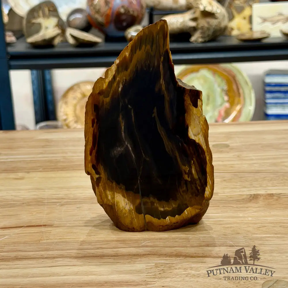 Reserve Oregon Petrified Wood Table Accent 6.25’’ - Sculpture