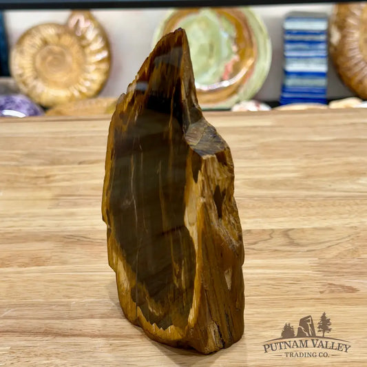 Reserve Oregon Petrified Wood Table Accent 6.25’’ - Sculpture