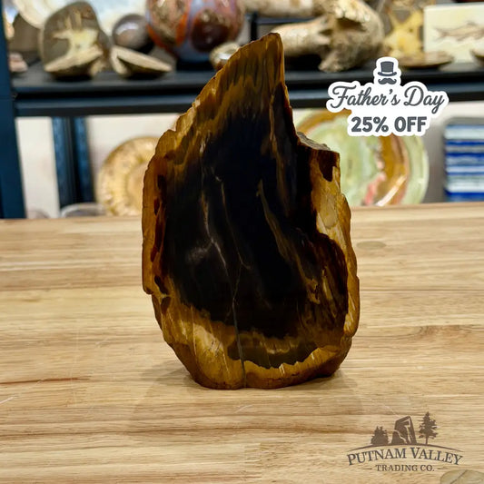 Reserve Oregon Petrified Wood Table Accent 6.25’’ - Sculpture
