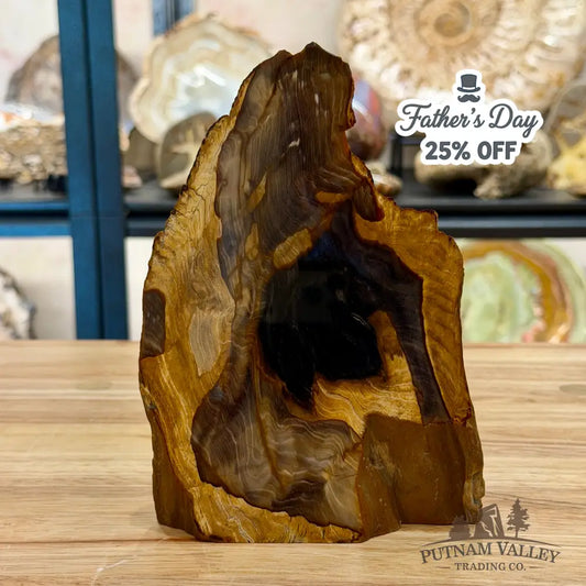 Reserve Oregon Petrified Wood Table Accent 7’’ - Sculpture