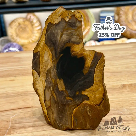 Reserve Oregon Petrified Wood Table Accent 7’’ - Sculpture