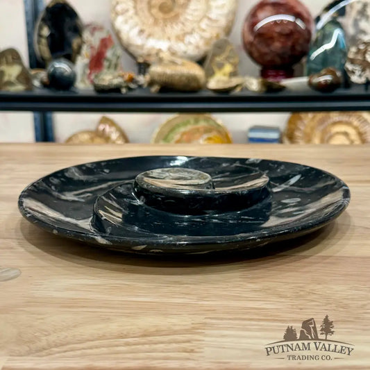 Reserve Orthoceras & Ammonite Fossil Serving Plate 10’’ - Fossil Plates
